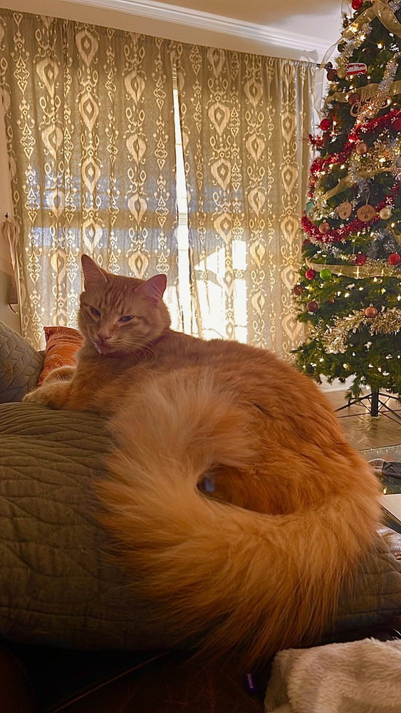Leo