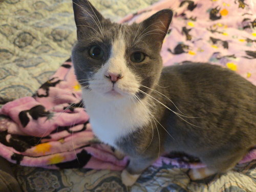 Photo 3 of Steve