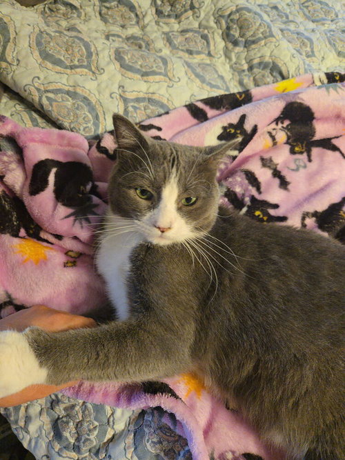 Photo 4 of Steve