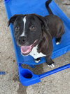 Mason - Photo 1