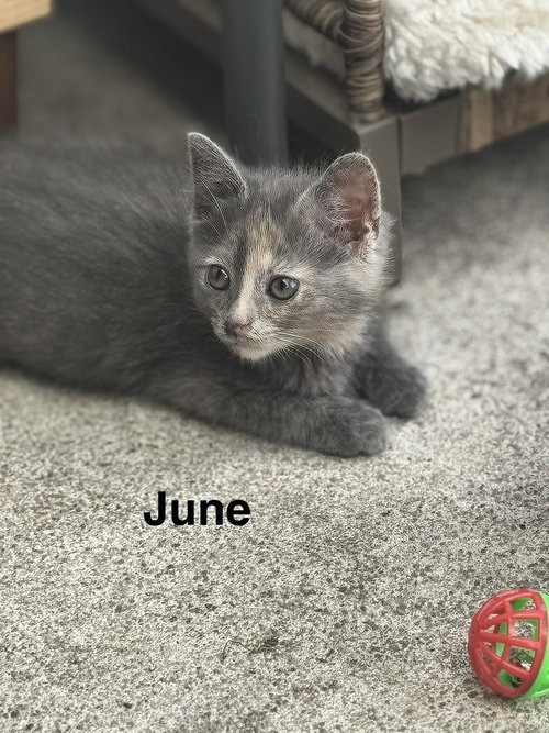 June