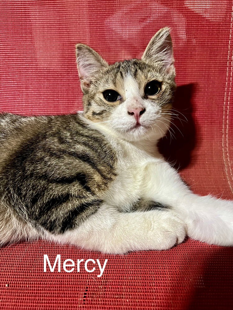 Mercy