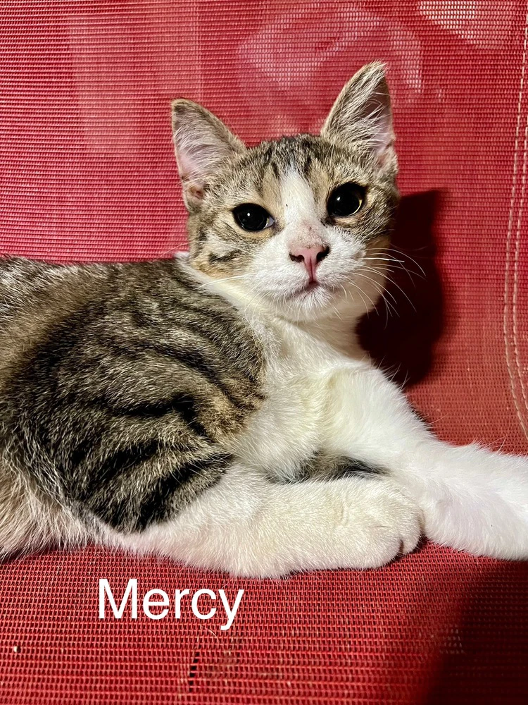 Mercy