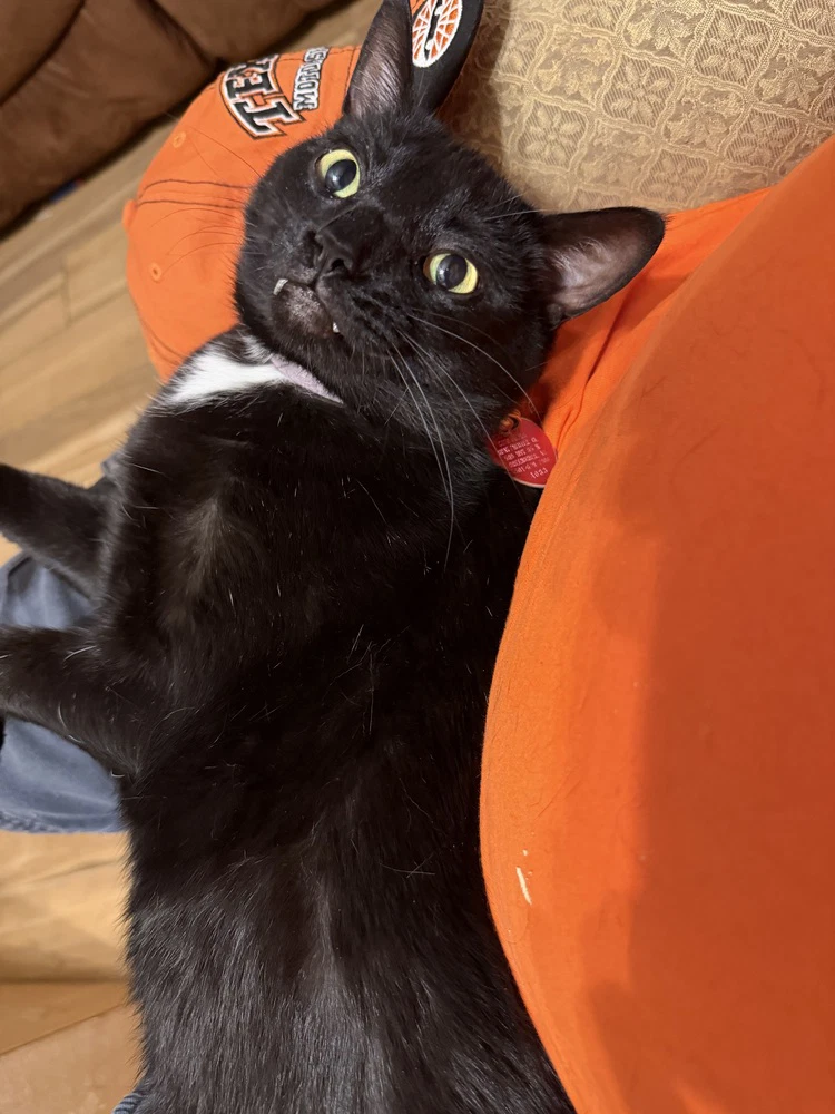 Squeaky