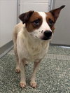 DAISY - Photo 1