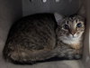 OPIE - Photo 1