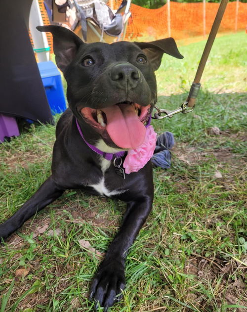 Pru (special needs)