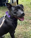 Pru (special needs)