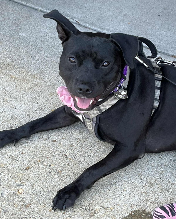 Pru (special needs)