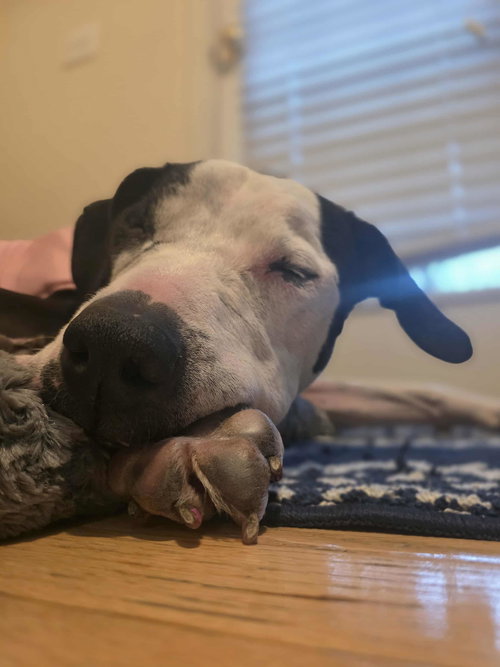 Luna