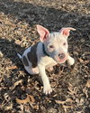 Ellie Mae