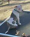 Ellie Mae