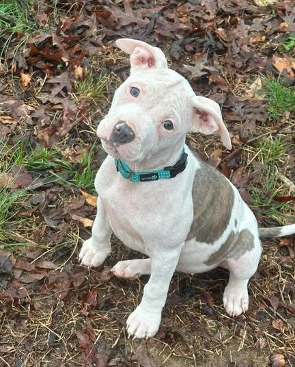 Ellie Mae