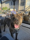 Nola (Courtesy Listing)