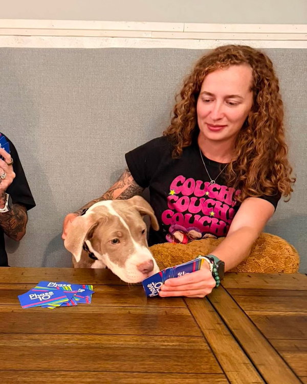 Meatball (puppy)