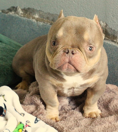 Bobble (special needs)