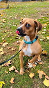 Daisy - Photo 7