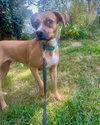 Daisy - Photo 3