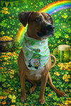 Daisy - Photo 2