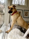 Scuttle - Photo 1