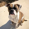 Gizzy - Photo 4