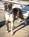 Gizzy - Photo 3