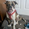 Gizzy - Photo 5