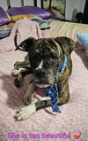 Wiggles - Photo 3