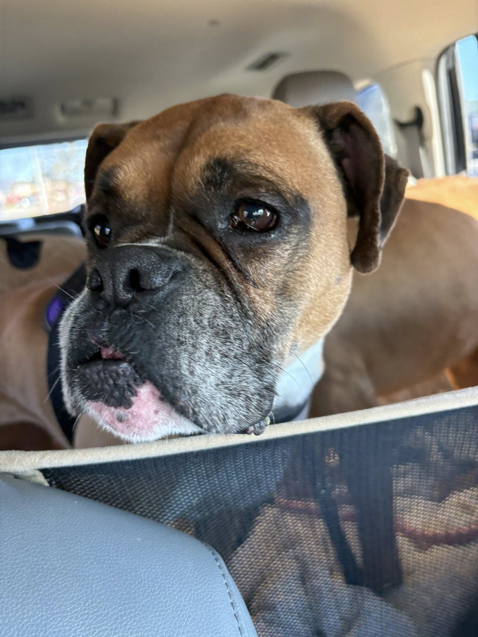 Dakota & Diesel