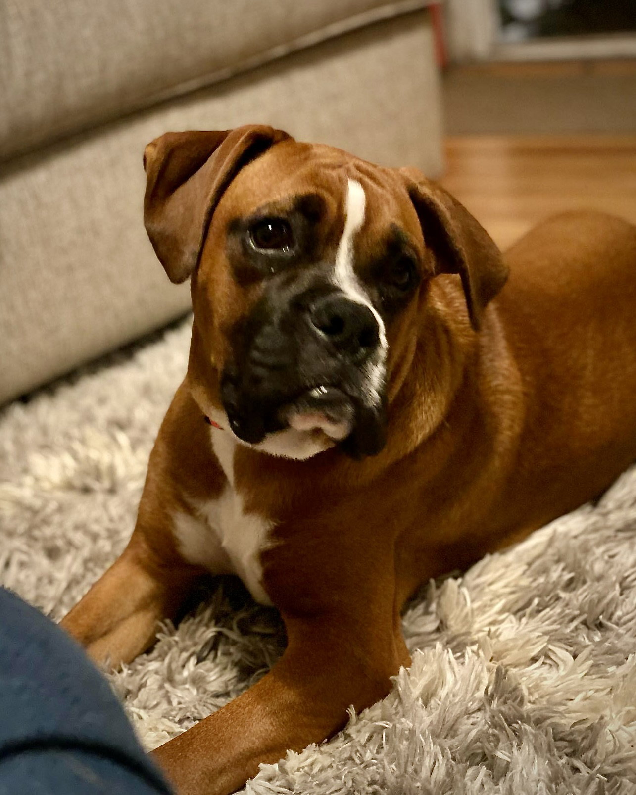 Zeke Image