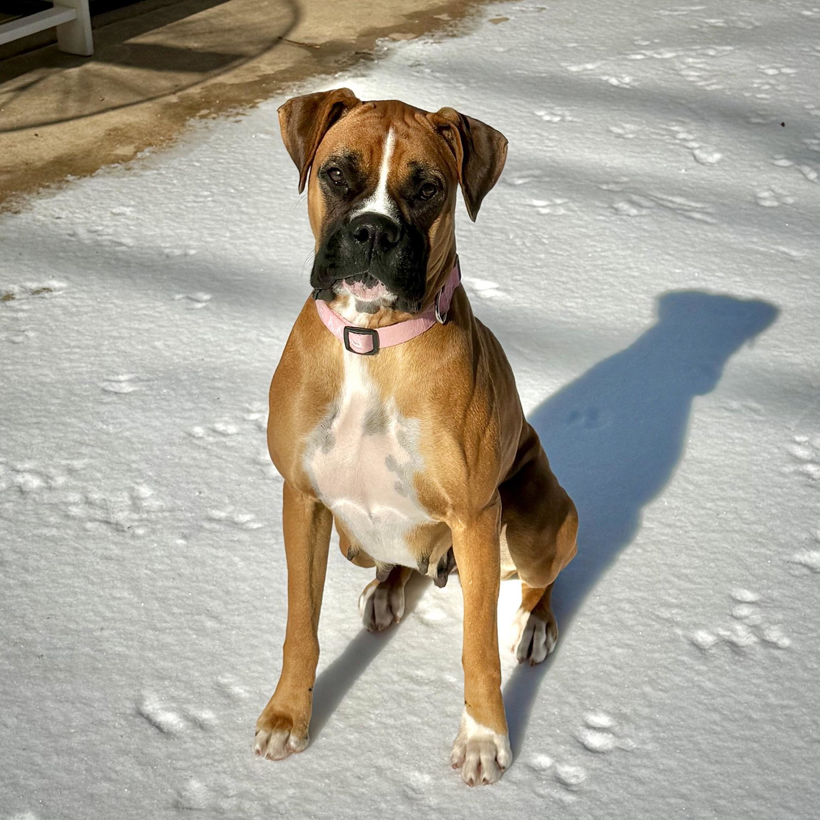 Roxy Image
