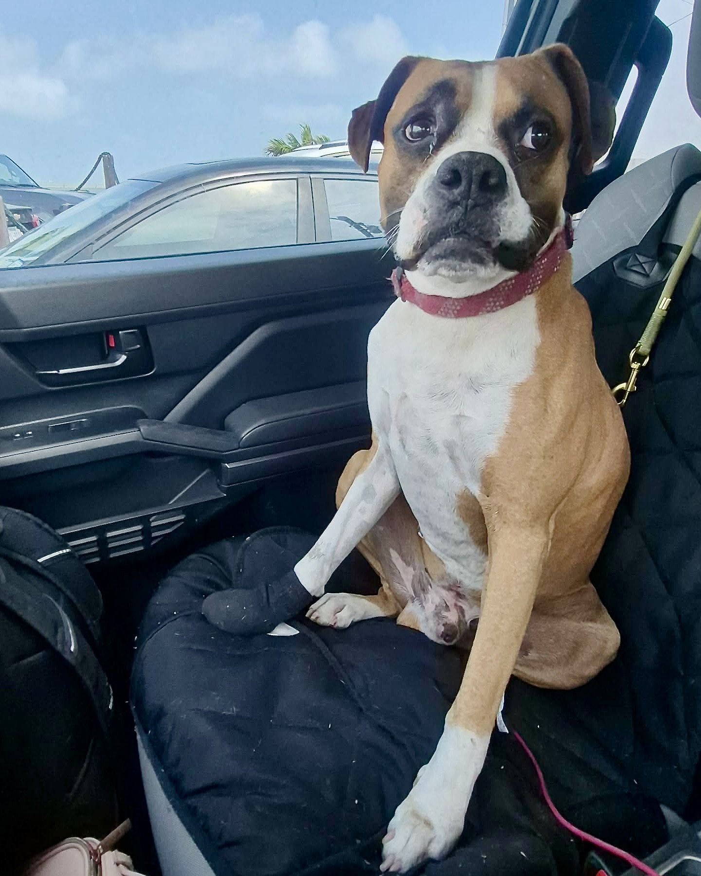 Ruger