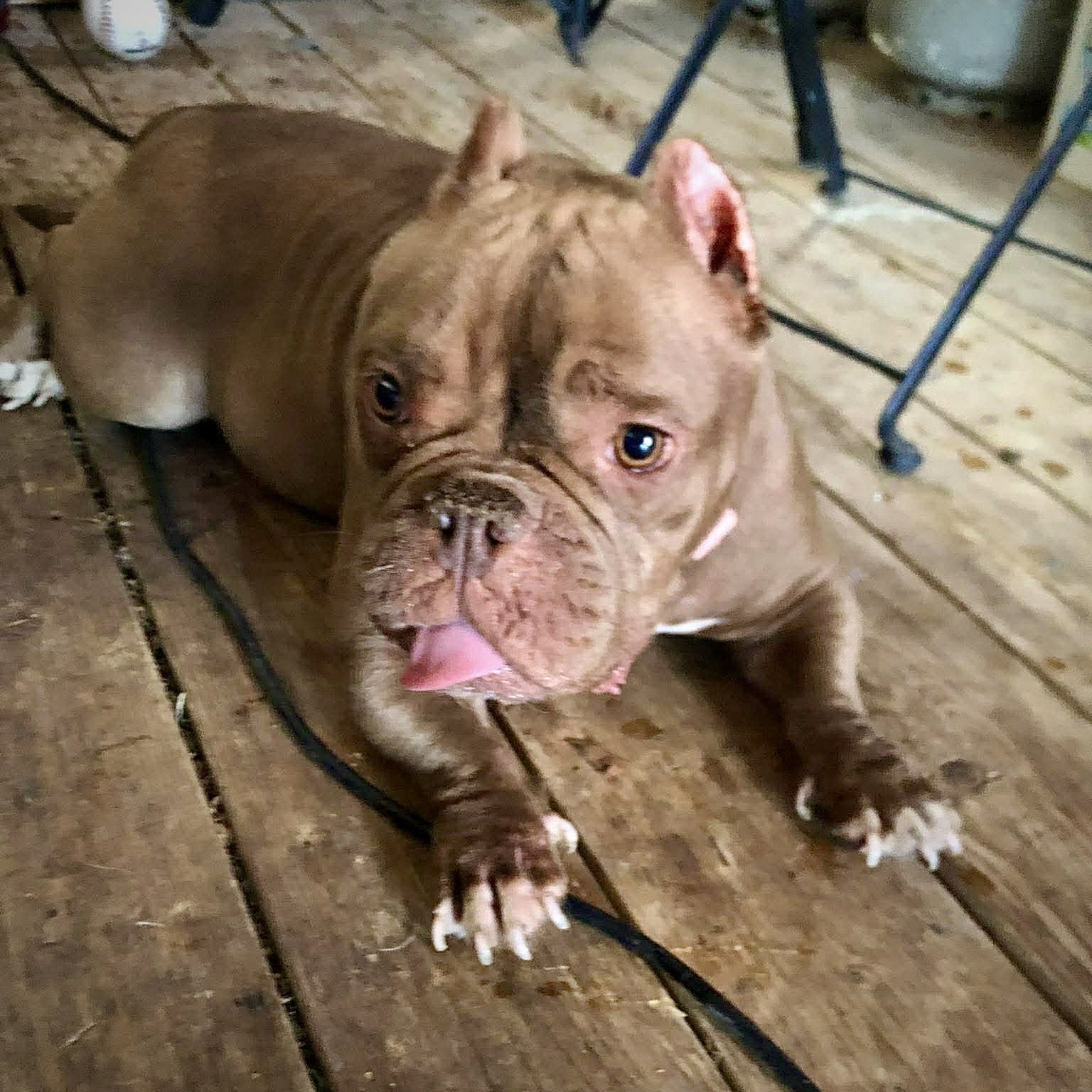Nala