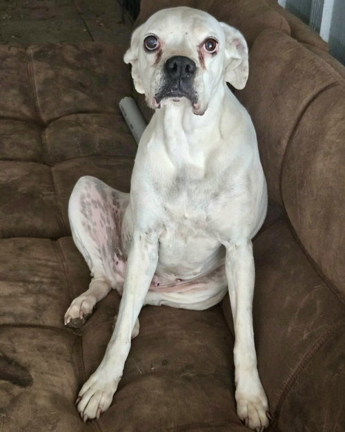 Ryleigh, photo 4