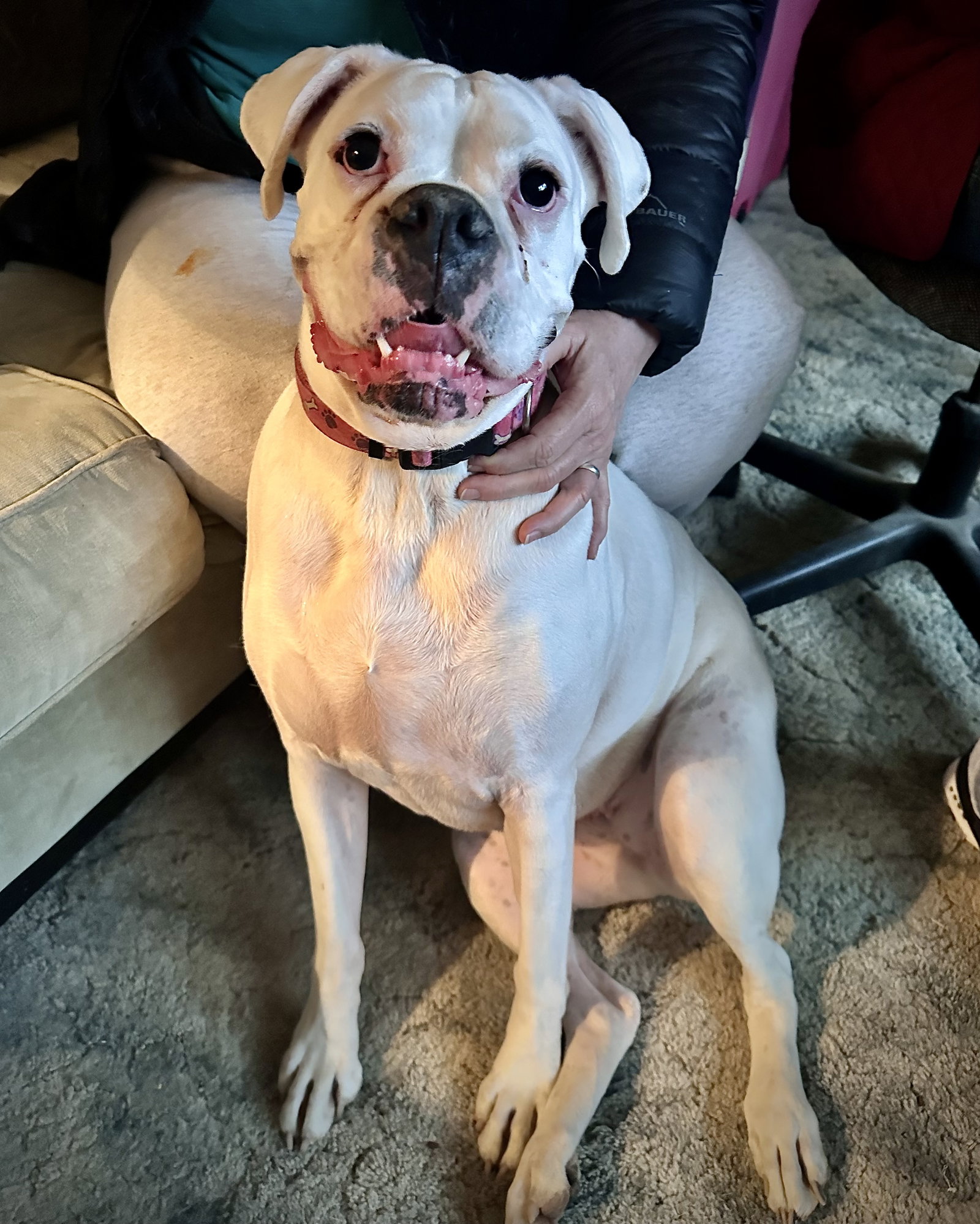 Bonded - Lilly