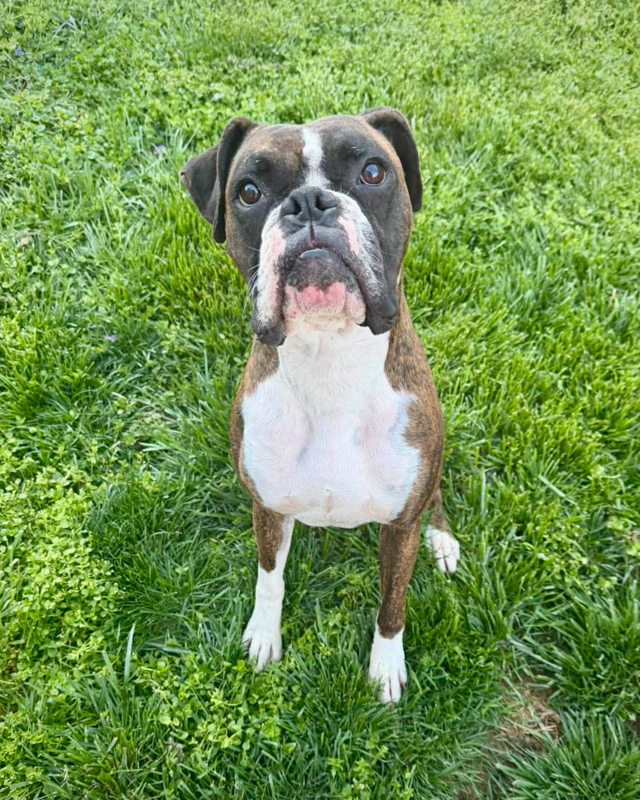 Deuce