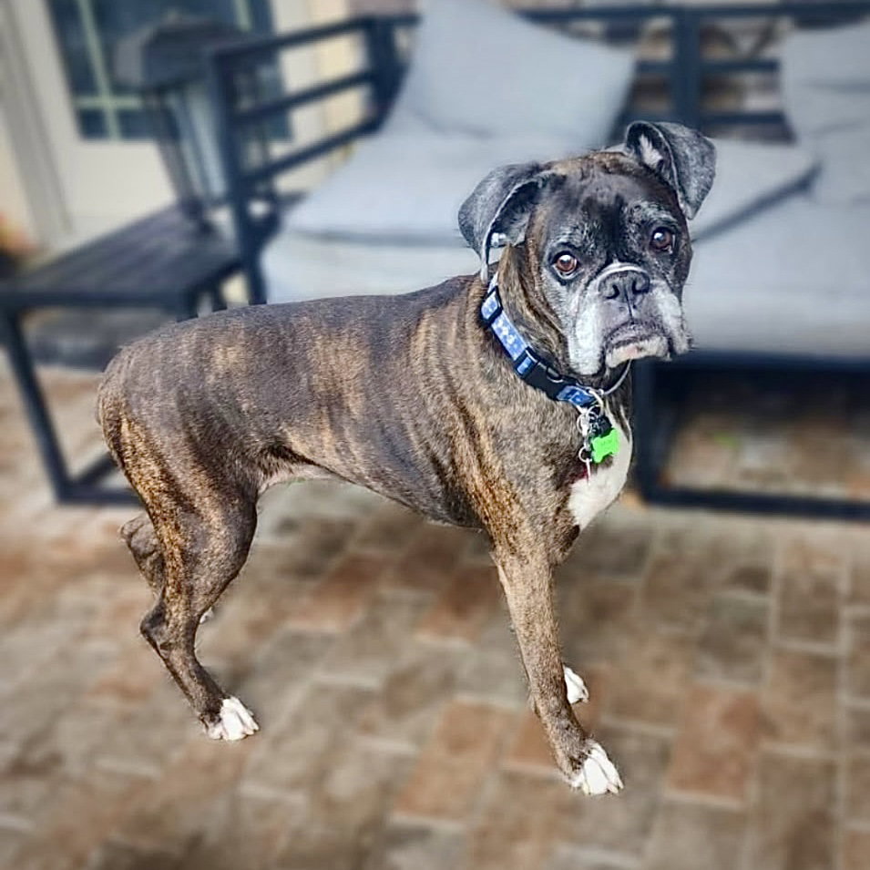 Abbie