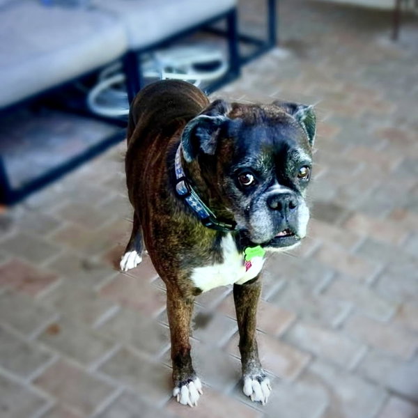 Abbie