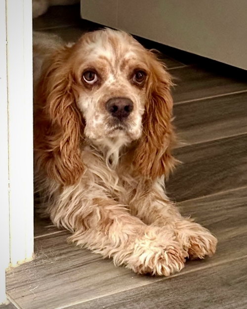 Truman