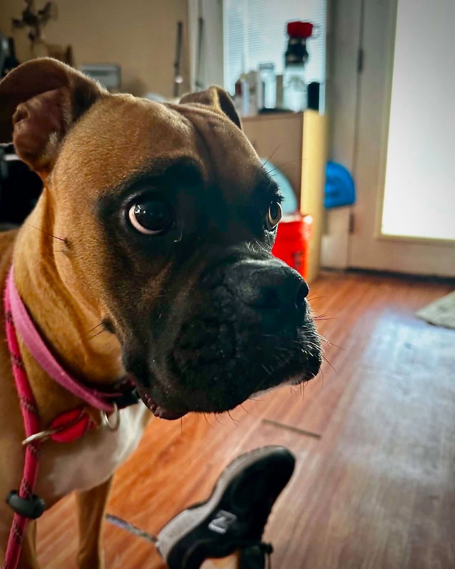 Roxie