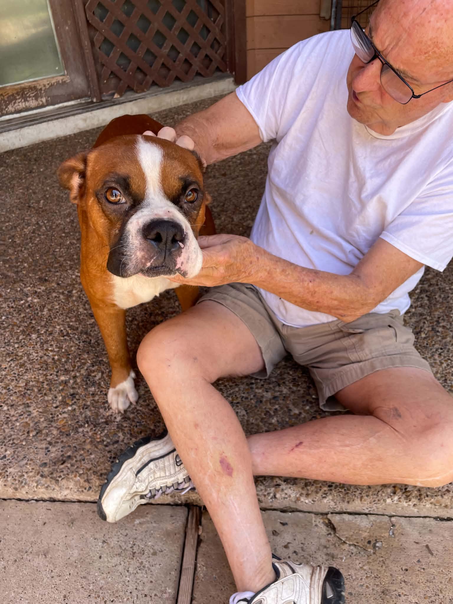 Fitz image 3