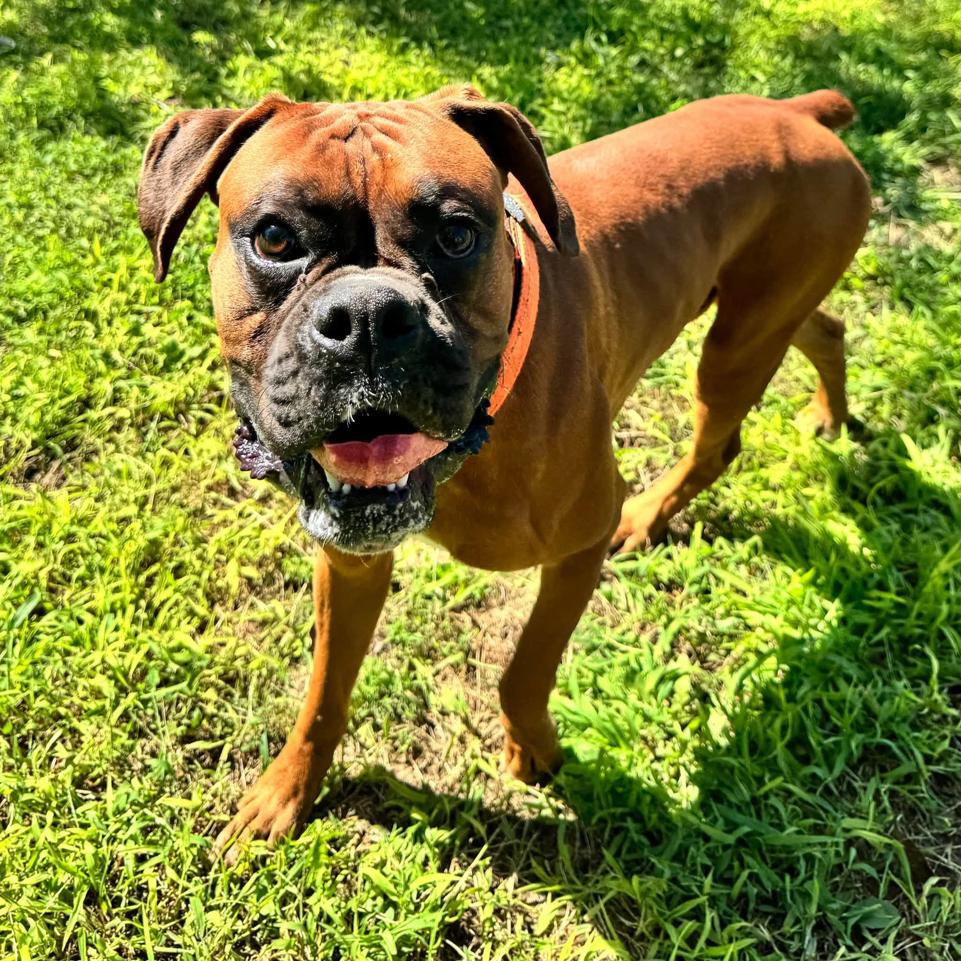 Mac