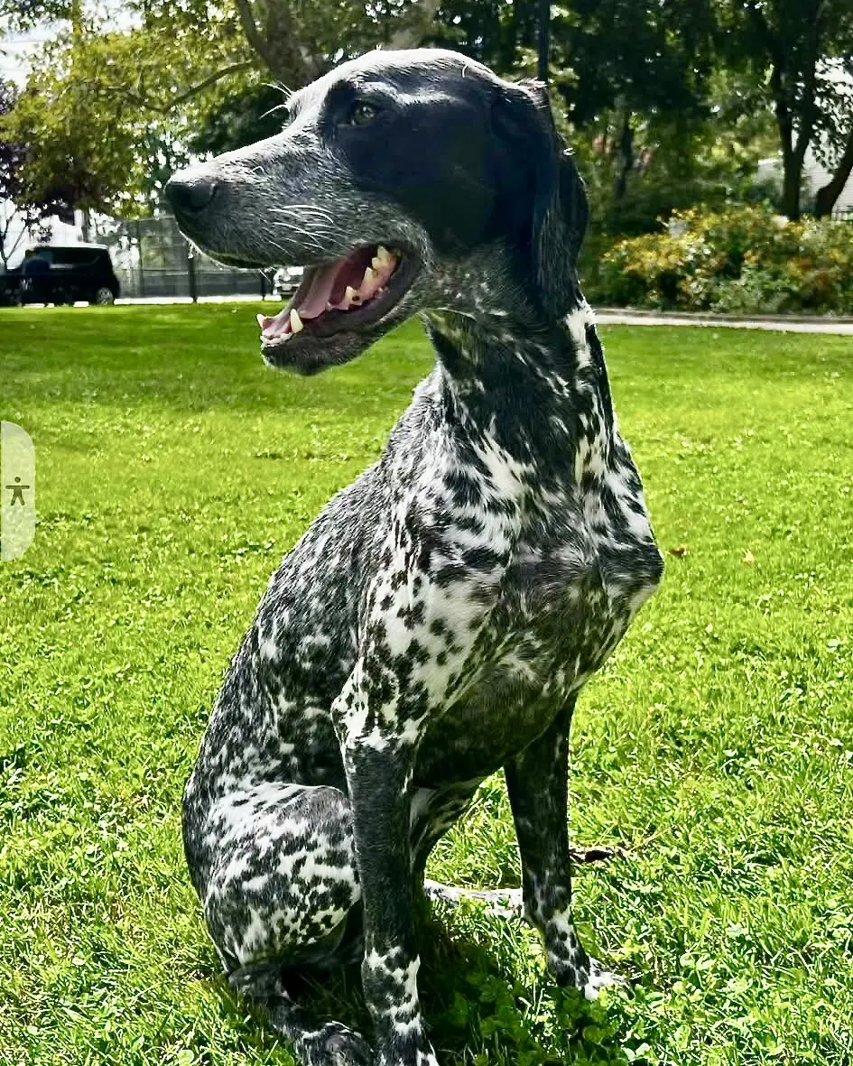 Tux image 1