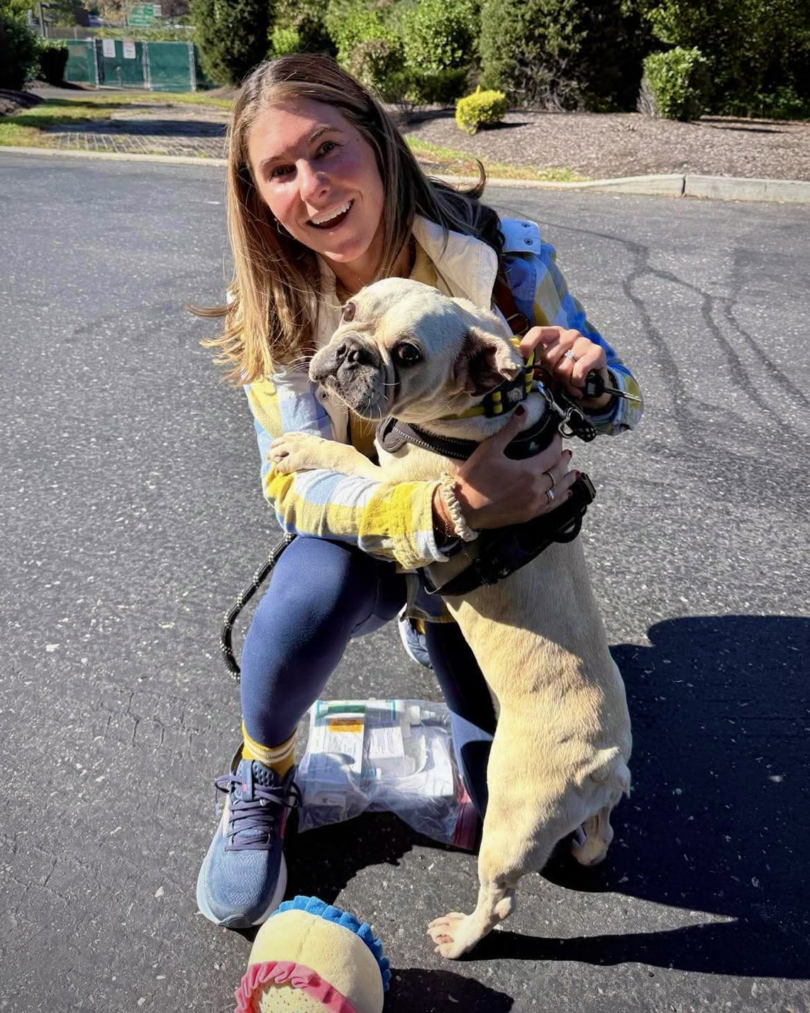 Frankie the Frenchie, photo 3