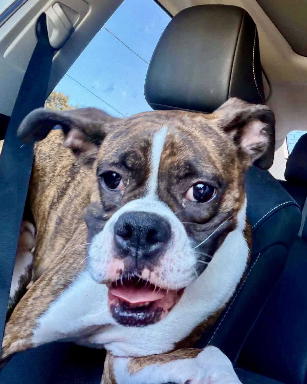 Bailee, photo 2