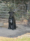 Ken Ashcraft - Photo 2