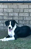 Luke - Photo 1