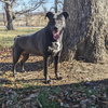 Daisy - Photo 2