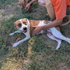 Laverne - Photo 5
