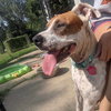Laverne - Photo 1